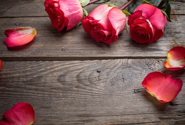 Roses on wooden background