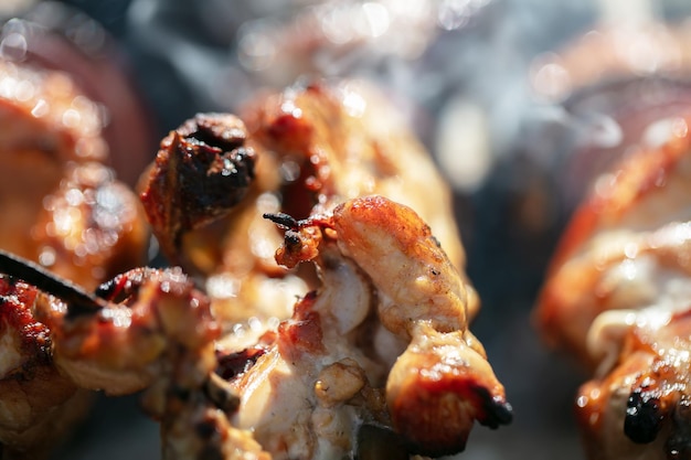 A rosy fried piece of chicken skewers closeup in rosfocus