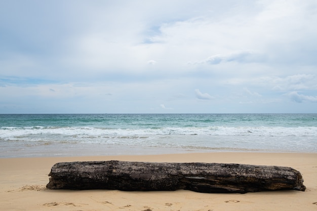 Foto rot hout op mooie strandachtergrond.