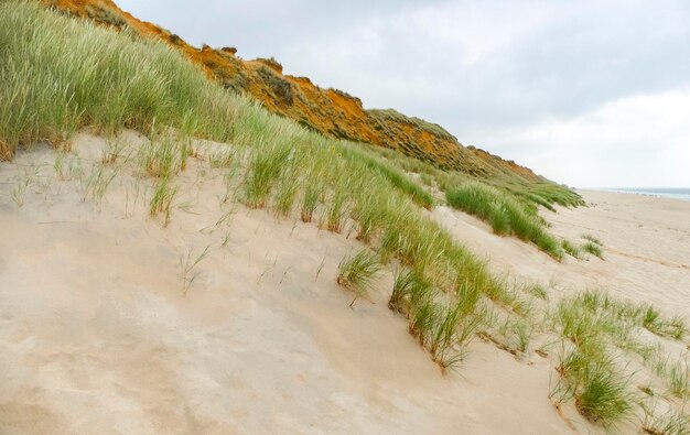 Photo rotes kliff at sylt