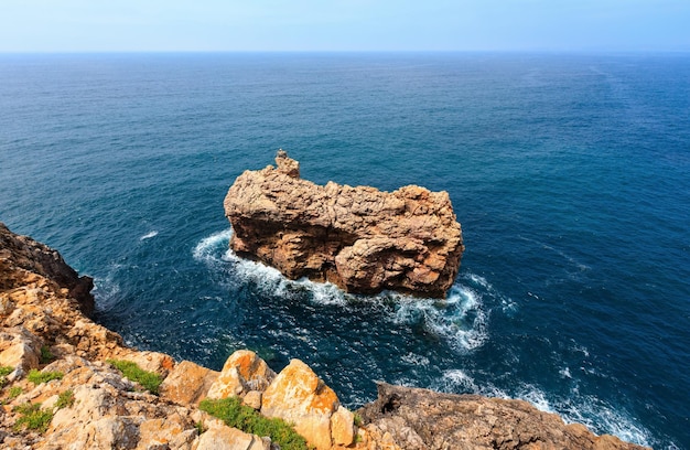 Rots dichtbij kust met nest van ooievaars (Costa Vicentina, Portugal).