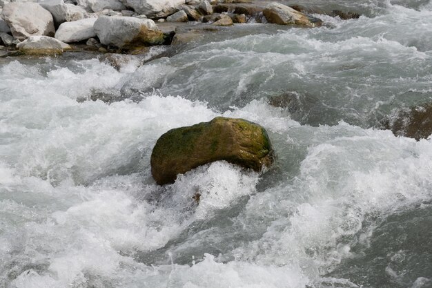 Rots in het water.