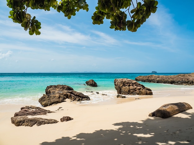 rots op het strand in Thailand