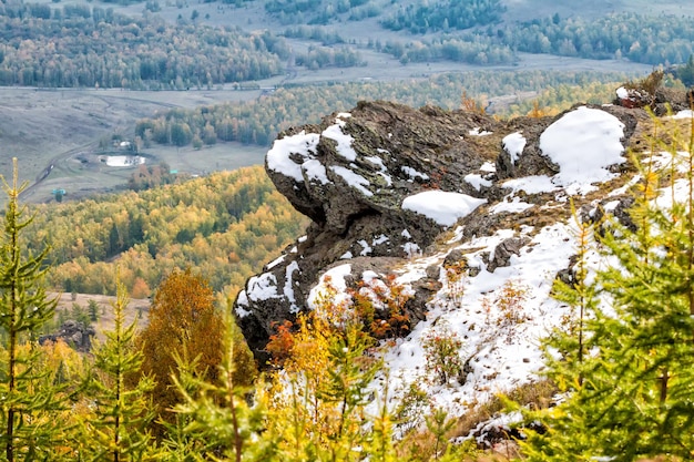Rotsachtige bergen en herfstbos bij bewolkt weer