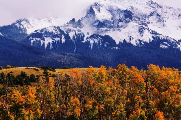 Rotsachtige bergen in Colorado