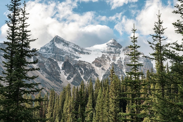 Rotsachtige bergen met dennenbos en blauwe lucht in Lake Louise in het nationale park Banff