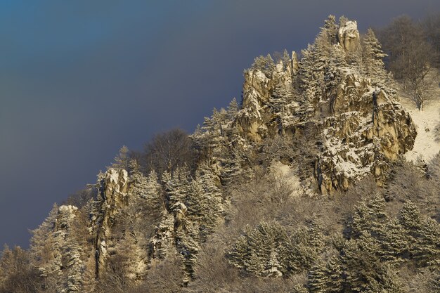 Rotsachtige heuvelkant met pijnbomen die erop groeien, bedekt met sneeuw