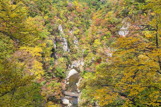 Rotsachtige kliffen in Miyagi