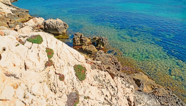 Rotsachtige kust en blauw water op Sardinië