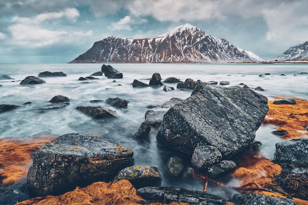 Rotsachtige kust van fjord in Noorwegen