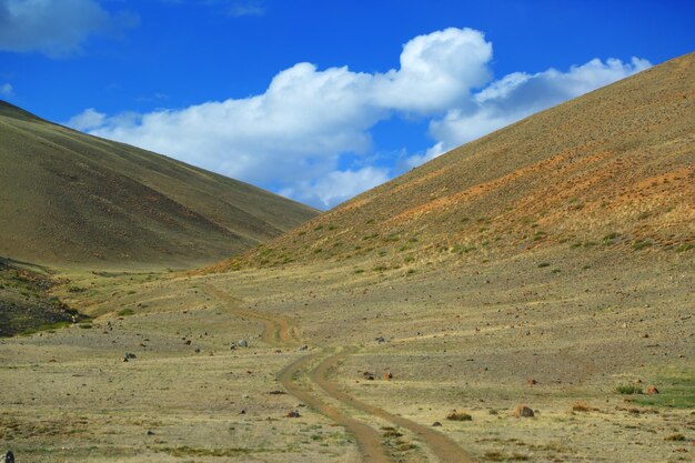 Rotsachtige onverharde weg in het Altai-gebergte