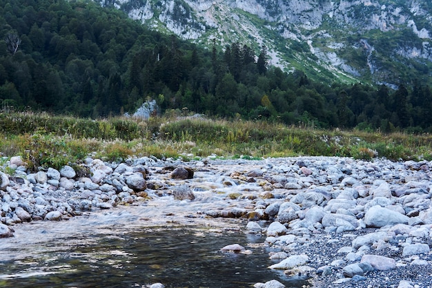 Rotsachtige rivier in een bergdal tegen de achtergrond van een bos en verre rotsen