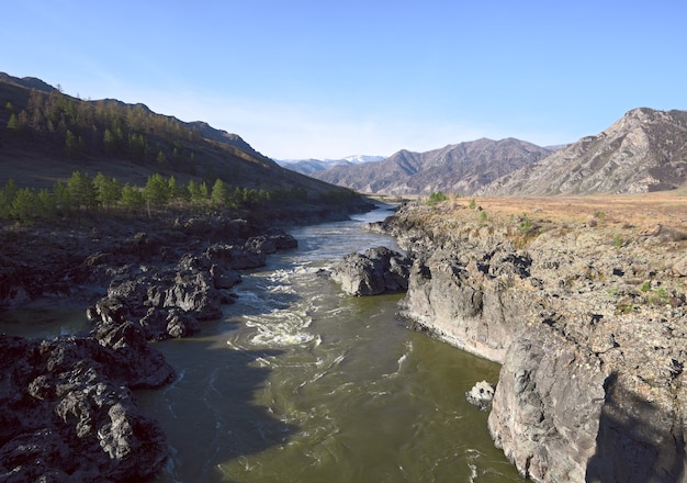 Rotsachtige stroomversnellingen op een bergrivier omringd door het Altai-gebergte Scherpe rotsen