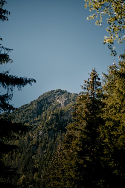 Rotsachtige top van de berg Zonnige dag in de Europese bergen