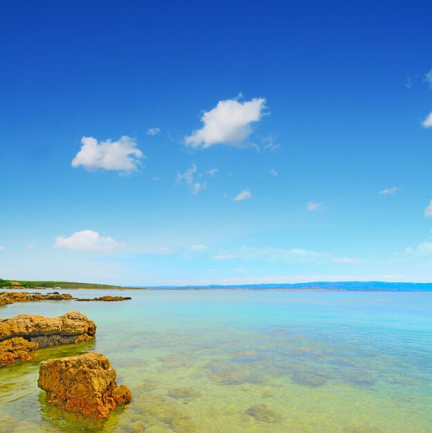 Rotsen en zand in de kustlijn van Alghero, Italië