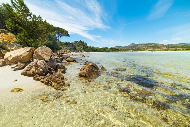 Rotsen in Cala Brandinchi