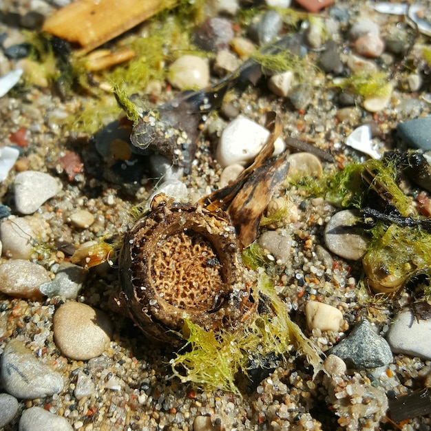 Rotsen in de zee