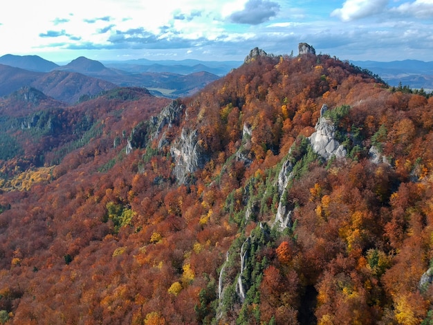 Foto rotsen omgeven door kleurrijk bos