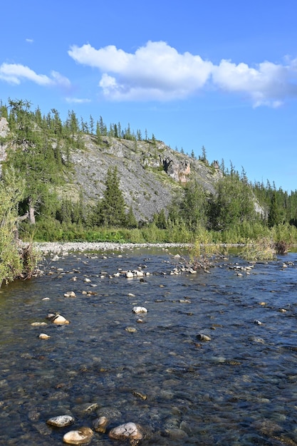 Rotsen op de rivier de Lemva