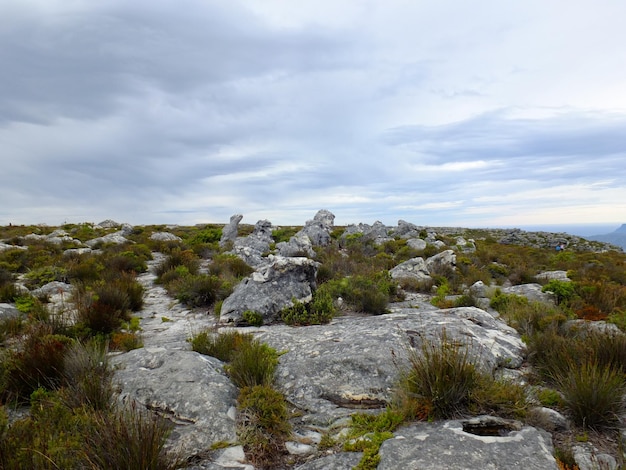 Rotsen op de top van de tafelberg kaapstad zuid-afrika