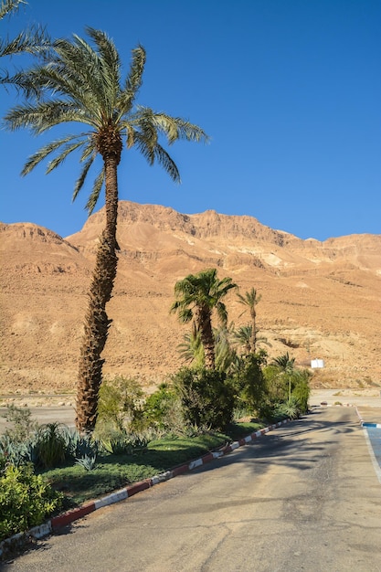 Rotsen van de Judese woestijn in de buurt van Masada Park