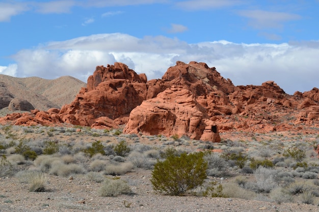 Rotsformatie in het Valley of Fire State Park.