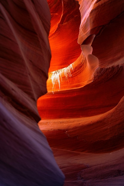 Foto rotsformaties bij de canyon