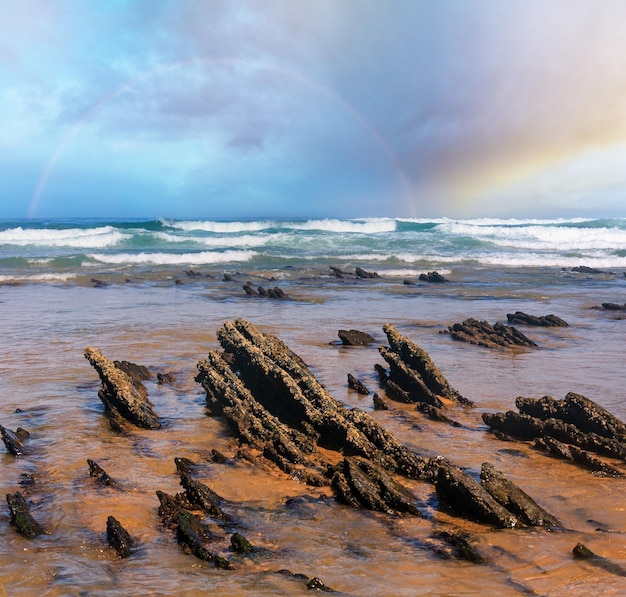 Rotsformaties op zandstrand Portugal