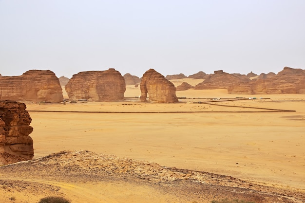 Rotsolifant in de woestijn dichtbij Al Ula in Saoedi-Arabië