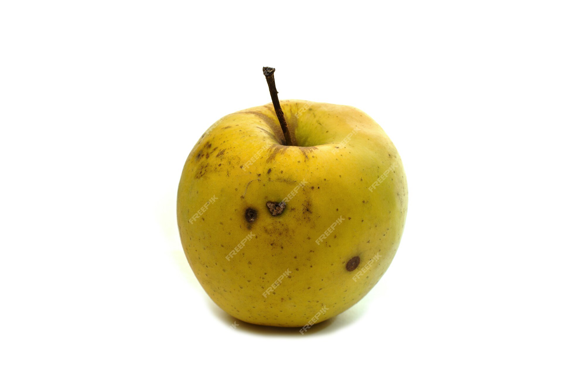 6,727 Rotten Apple Stock Photos - Free & Royalty-Free Stock Photos from  Dreamstime