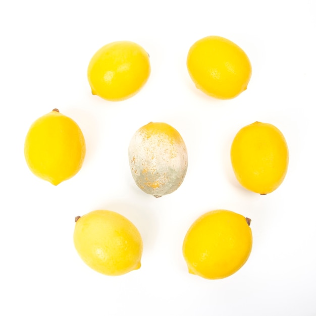 Rotten lemon next to fresh lemons on a white surface