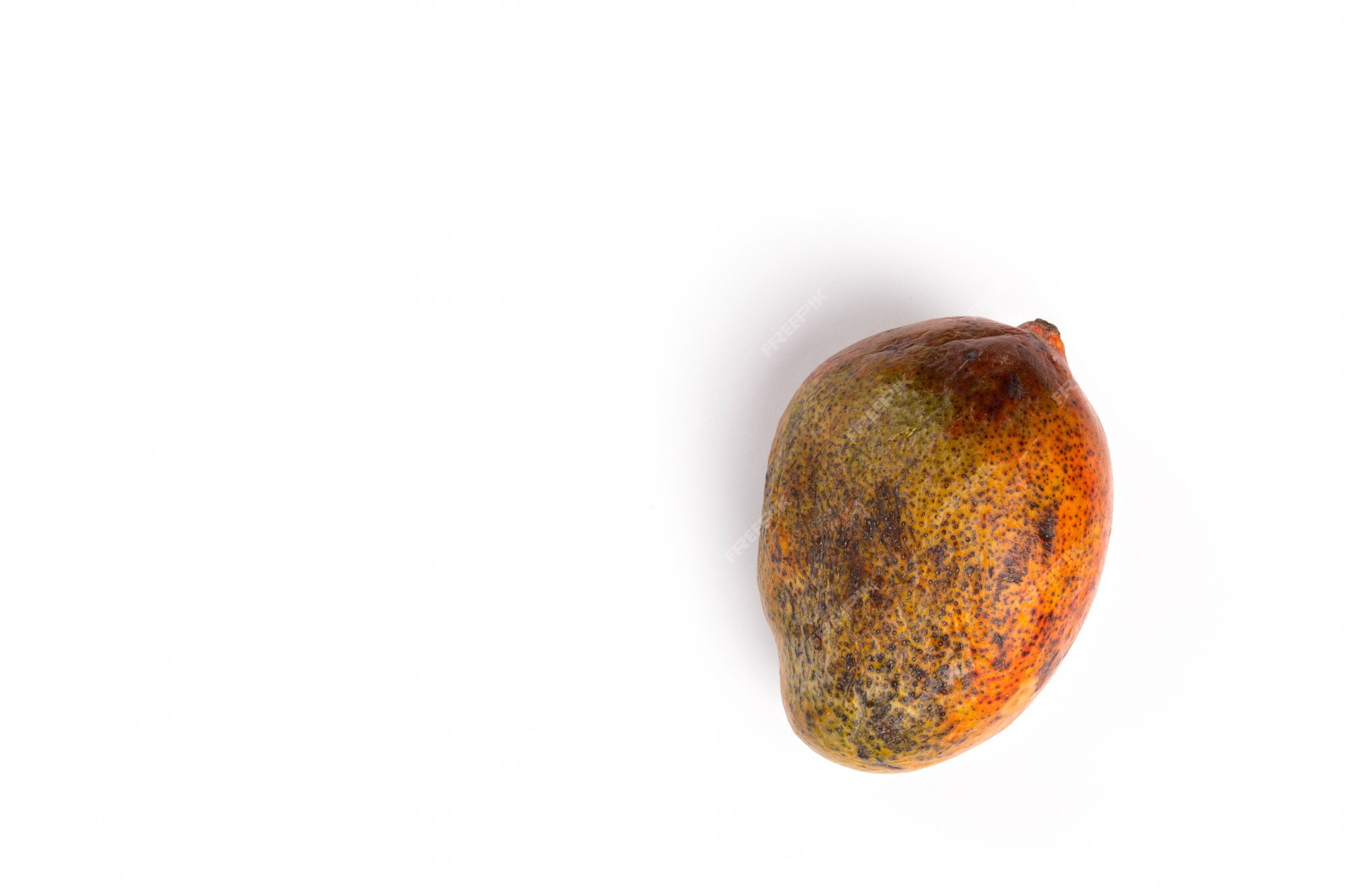 Rotten mango fruite isolated on a white background, Stock image