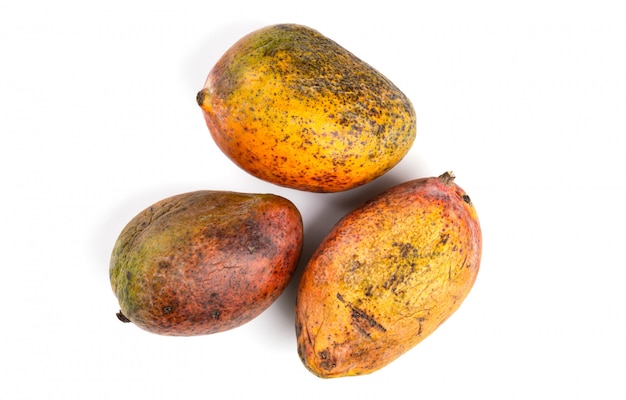 Rotten mango. Overripe Fruit on a white surface.Isolated