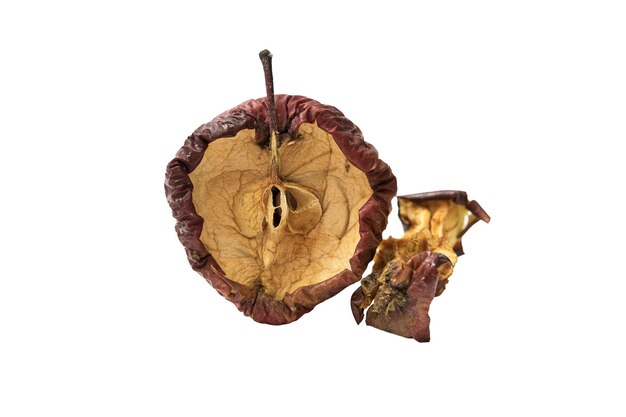 Rotten red apple on a white background Dried apple