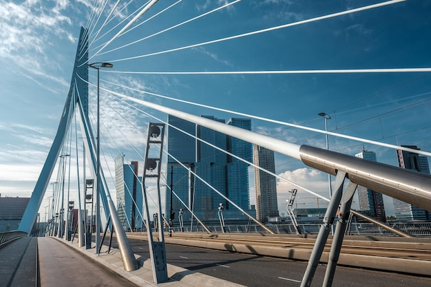 Rotterdam city cityscape with Erasmus bridge South Holland Netherlands