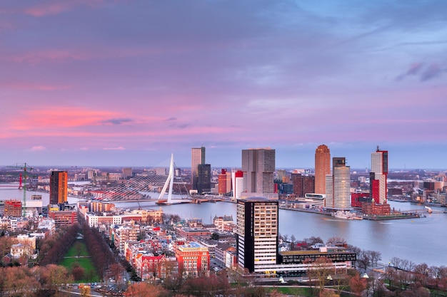 Rotterdam Netherlands Skyline