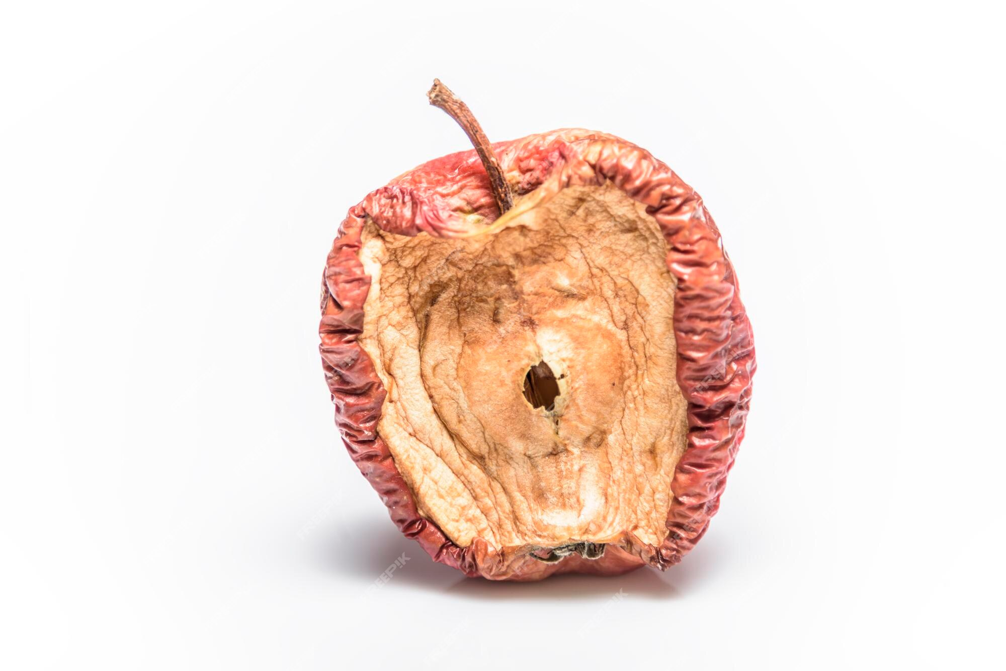 Bad Fruit: Rotten Fruits Transformed into Art Piece