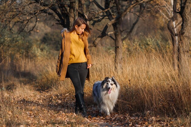 Rough blue merle marbled collie and a girl walking side by side in an autumn park