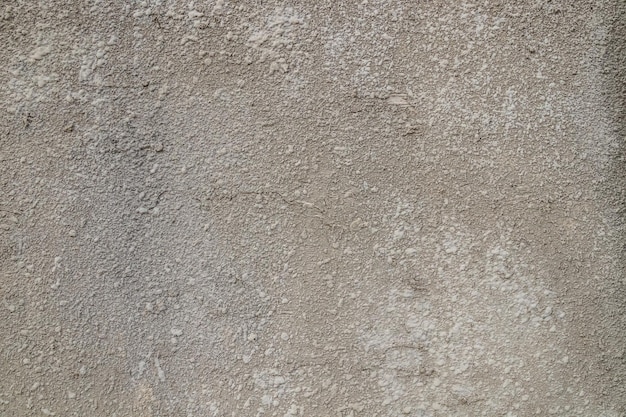 거친 시멘트 벽을 배경으로 덮음