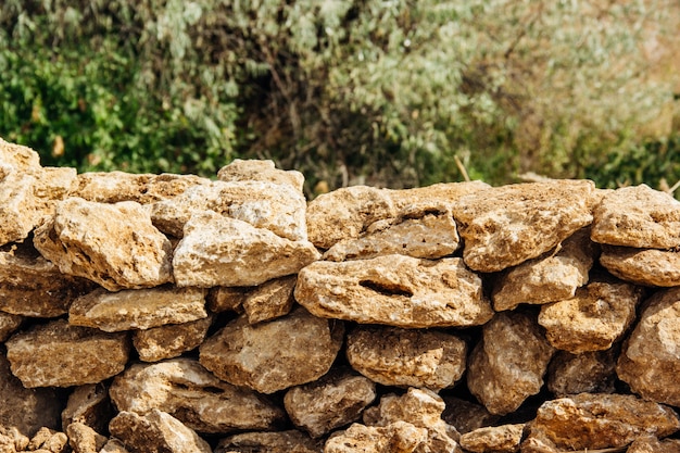 Rough shell rock wall