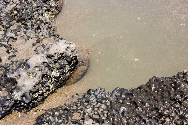 Rough stone near the seashore close up view