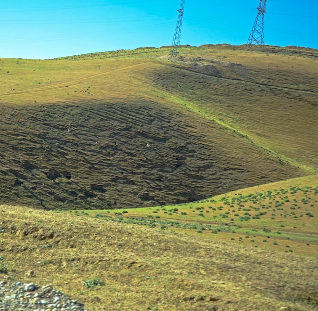 Rough terrain with meadows and a herd of animals below