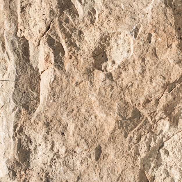 Rough texture of dolomite rock lit from the side by the sun