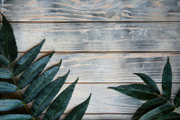 Rough textured natural wooden background with green leaf decor. botanical minimalistic backdrop with copyspace.