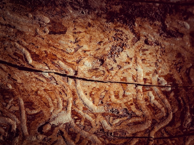 Foto sfondo di parete ruvido per il montaggio del prodotto