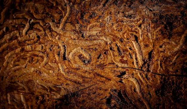 Foto sfondo di parete ruvido per il montaggio del prodotto