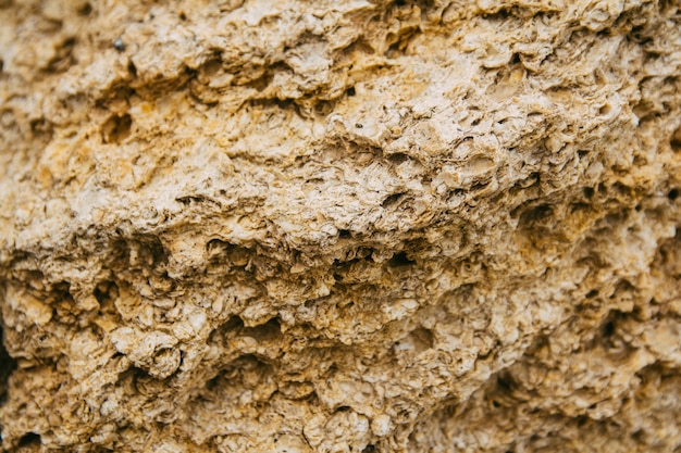 Rough weathered porous sandstone surface texture close up.