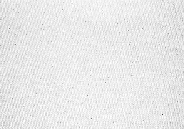 Rough white paper texture