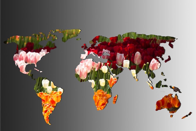 Roughly outlined world map with with tulip garden filling