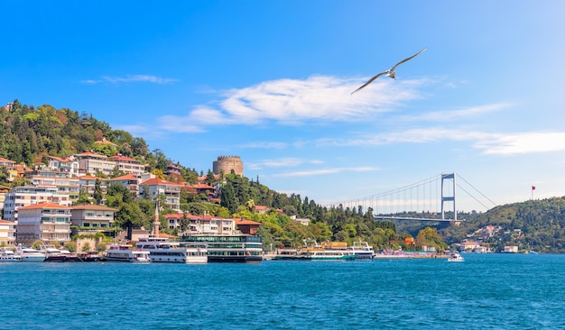 Замок Румели Хисар и мост Фатих Султан Мехмет Стамбул